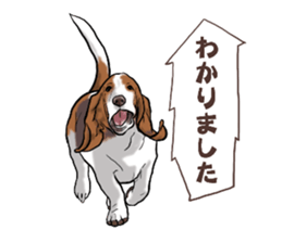Basset hound 6 sticker #10032490
