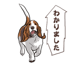 Basset hound 6 sticker #10032490
