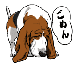 Basset hound 6 sticker #10032491
