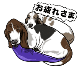 Basset hound 6 sticker #10032493