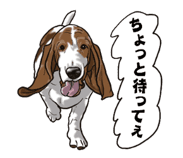 Basset hound 6 sticker #10032495