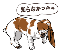 Basset hound 6 sticker #10032497