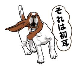 Basset hound 6 sticker #10032498