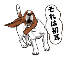 Basset hound 6 sticker #10032498