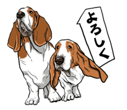 Basset hound 6 sticker #10032500