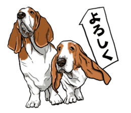 Basset hound 6 sticker #10032500