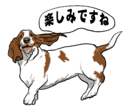 Basset hound 6 sticker #10032504