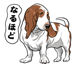 Basset hound 6 sticker #10032505