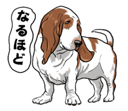Basset hound 6 sticker #10032505