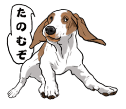 Basset hound 6 sticker #10032506