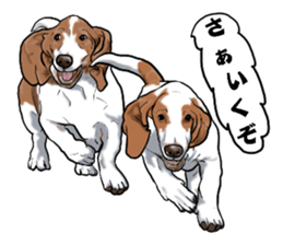 Basset hound 6 sticker #10032507