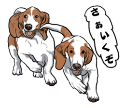 Basset hound 6 sticker #10032507