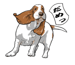 Basset hound 6 sticker #10032508