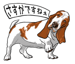 Basset hound 6 sticker #10032510