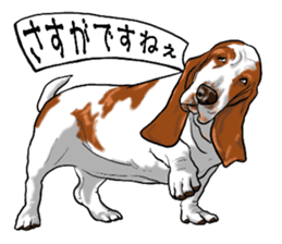 Basset hound 6 sticker #10032510