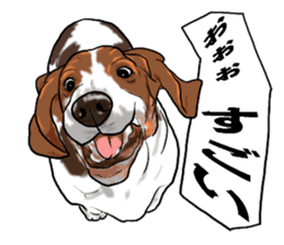 Basset hound 6 sticker #10032515