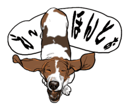 Basset hound 6 sticker #10032516