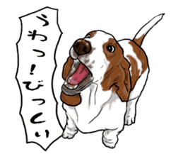 Basset hound 6 sticker #10032517