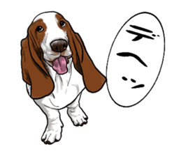 Basset hound 6 sticker #10032518