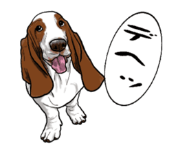 Basset hound 6 sticker #10032518