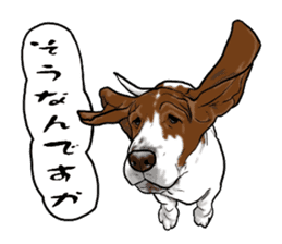 Basset hound 6 sticker #10032519