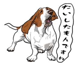 Basset hound 6 sticker #10032521