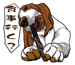 Basset hound 6 sticker #10032522
