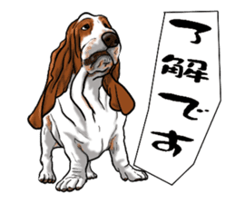Basset hound 6 sticker #10032524