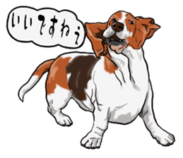 Basset hound 6 sticker #10032525
