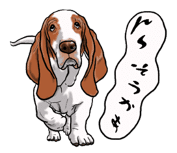 Basset hound 6 sticker #10032527