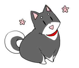 Fun black Shiba sticker #10032650