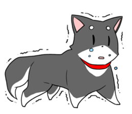 Fun black Shiba sticker #10032652