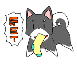Fun black Shiba sticker #10032667