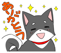 Fun black Shiba sticker #10032670