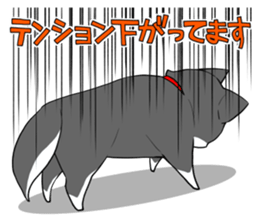 Fun black Shiba sticker #10032679