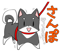 Fun black Shiba sticker #10032680