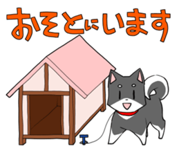 Fun black Shiba sticker #10032682