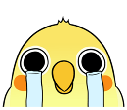 Sunshine the Cockatiel sticker #10032709