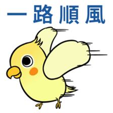 Sunshine the Cockatiel sticker #10032715
