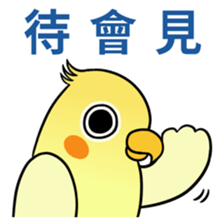 Sunshine the Cockatiel sticker #10032721
