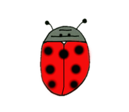 Full of ladybug sticker #10033352