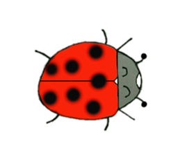 Full of ladybug sticker #10033354