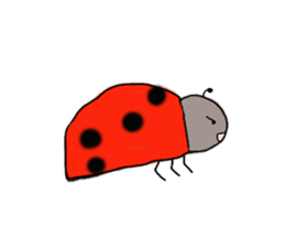 Full of ladybug sticker #10033358