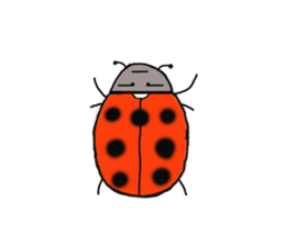 Full of ladybug sticker #10033360