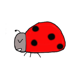 Full of ladybug sticker #10033363