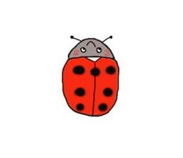 Full of ladybug sticker #10033365