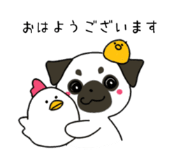 ShiroPug(White pug) sticker #10035849