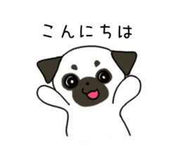 ShiroPug(White pug) sticker #10035850