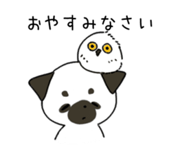 ShiroPug(White pug) sticker #10035854