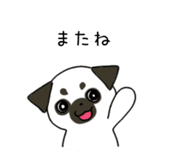 ShiroPug(White pug) sticker #10035855